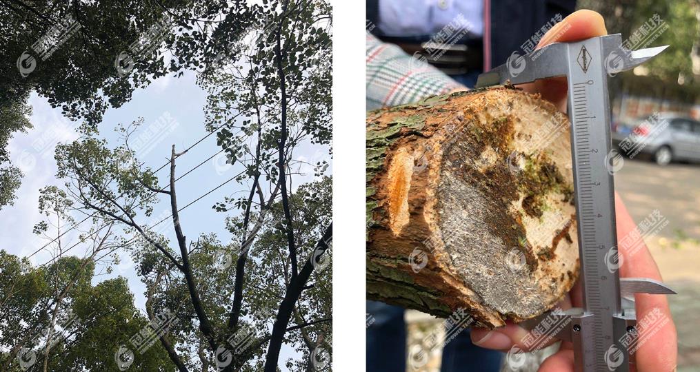 mg官方在线电子游戏