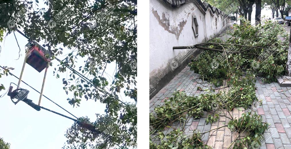 mg官方在线电子游戏