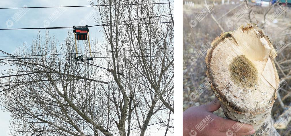 mg官方在线电子游戏