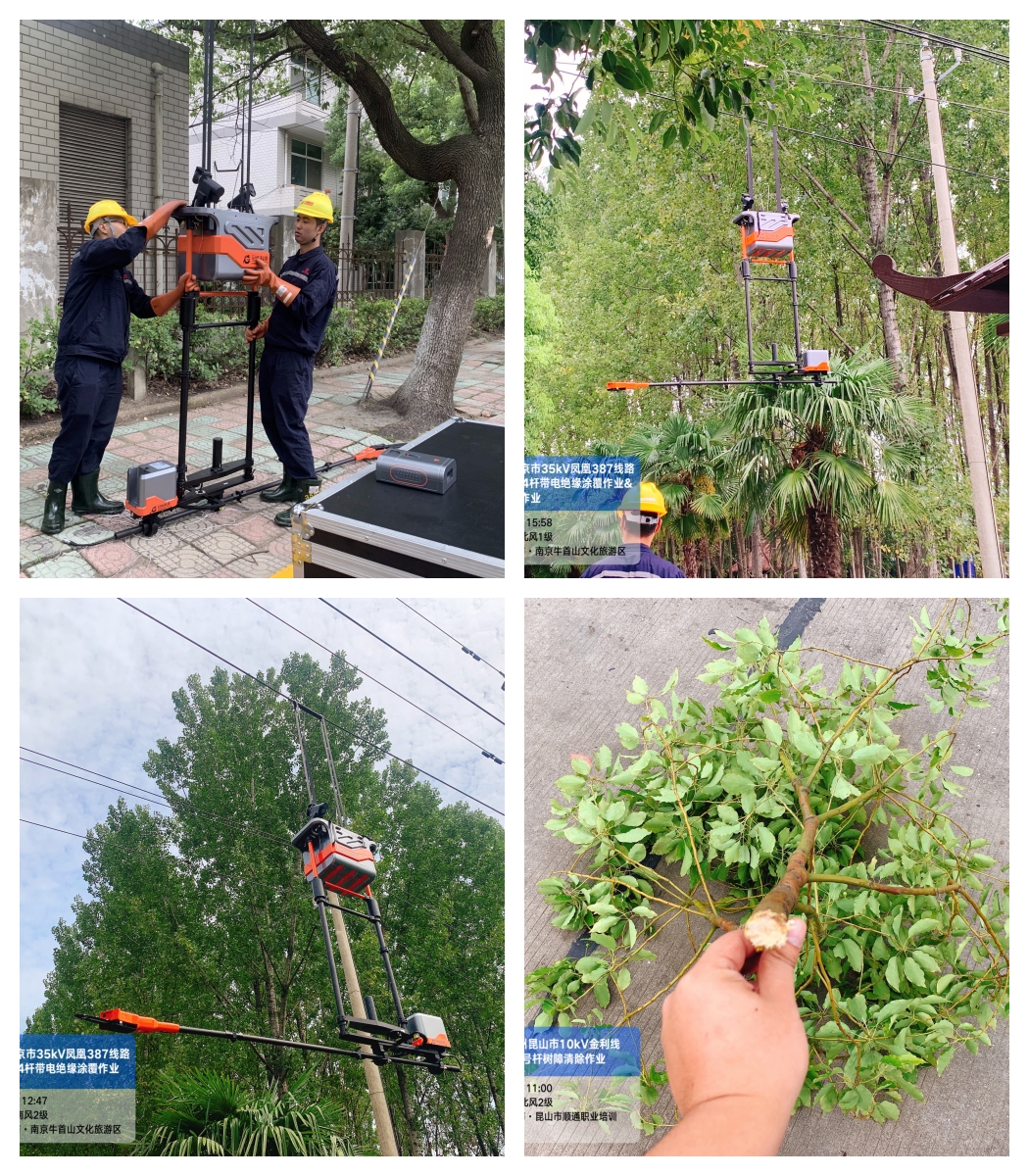 mg官方在线电子游戏