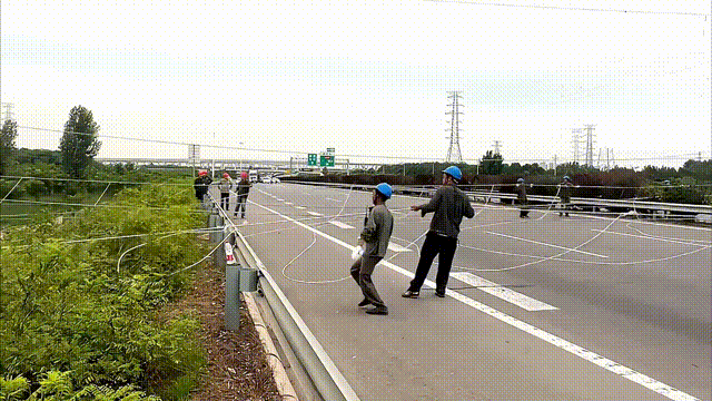 mg官方在线电子游戏