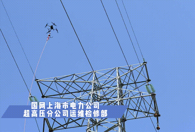 mg官方在线电子游戏