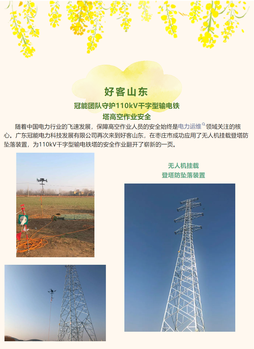 mg官方在线电子游戏