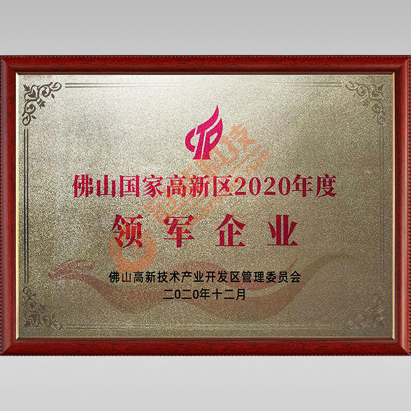 国家高新区2020年度领军企业